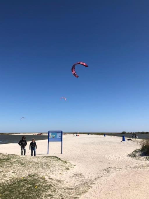 Villa Gezellige Pipo Met Grote Schommel Aan Het Water Medemblik Esterno foto