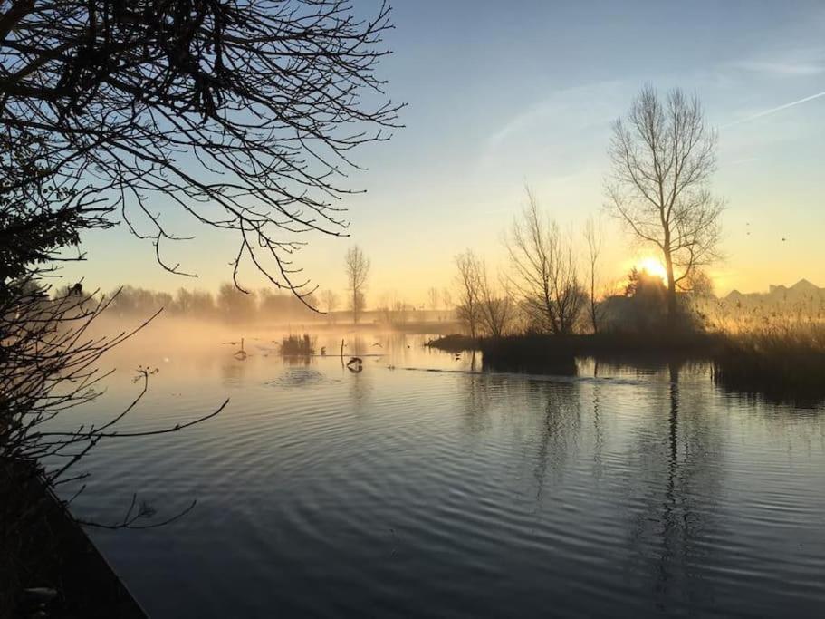 Villa Gezellige Pipo Met Grote Schommel Aan Het Water Medemblik Esterno foto